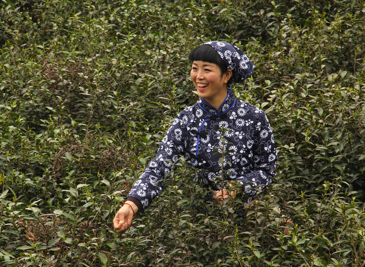 韩美女主播热午 私人影院